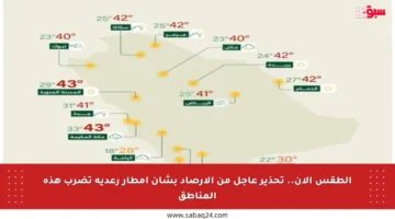 الطقس الآن.. تحذير عاجل من الأرصاد بشأن أمطار رعدية تضرب هذه المناطق